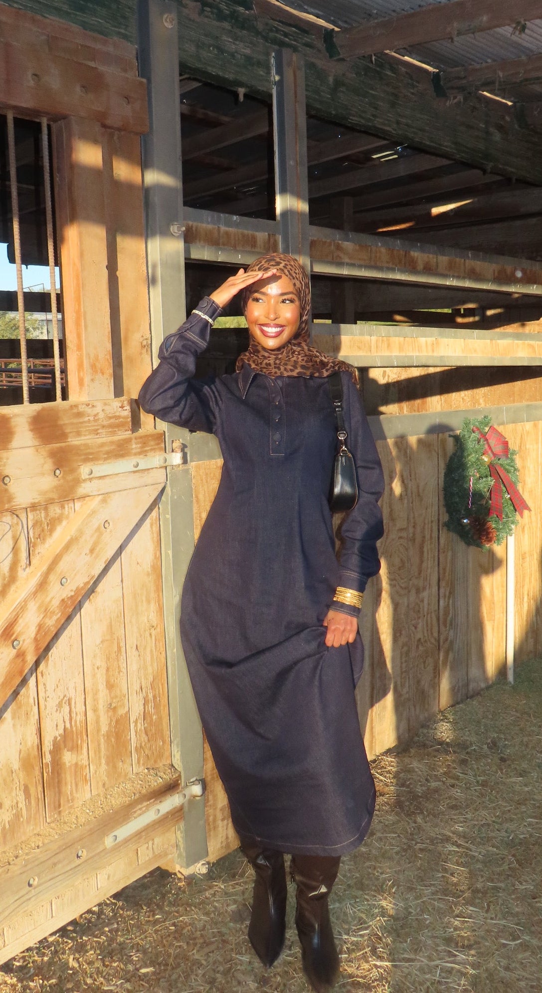 Sedona Denim Dress