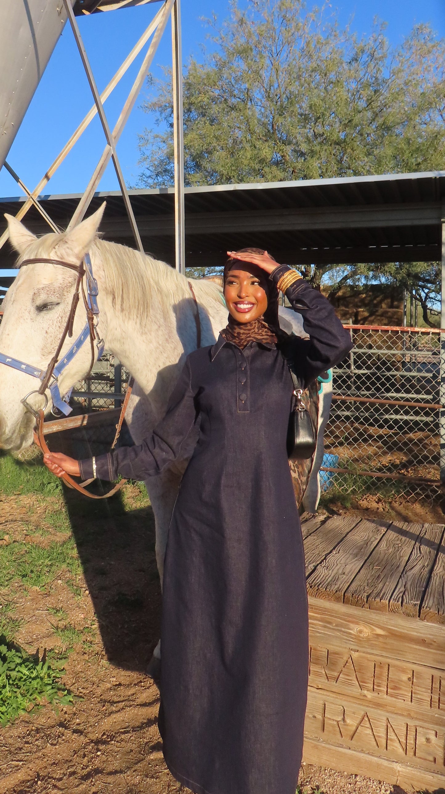 Sedona Denim Dress